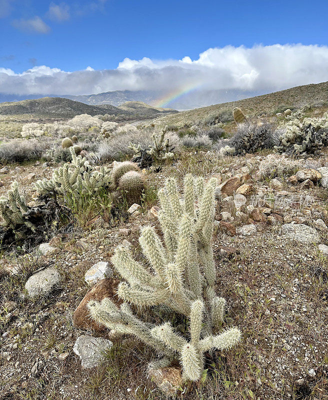 Pacific Crest Trail Rainbow